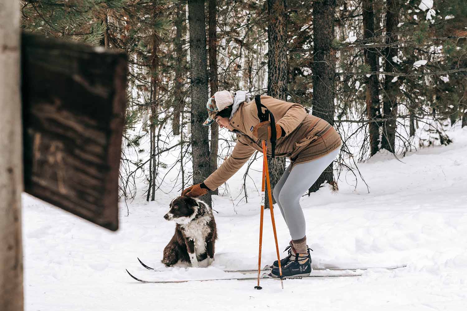 a person on skis with a dog